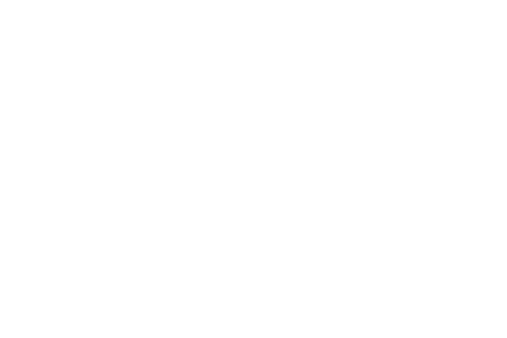 1 - Grosses Cylindrées - Electronique - Clignotants - Clignotant avant